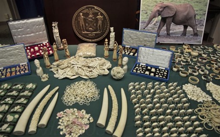 Seized ivory yewelry and carvings are displayed Thursday in New York.